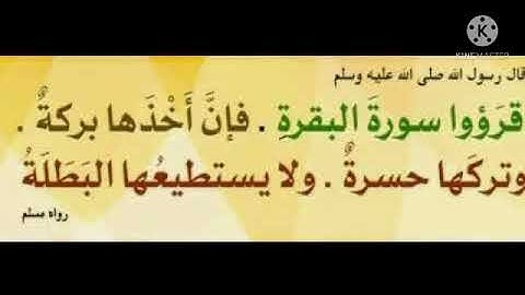 سورة البقرة كاملة برواية ورش عن نافع
