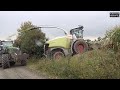 Maishäckseln nonstop - Claas Jaguar 970 - LU Spitzner - Fendt Vario 828 - Fliegl ASW 393 usw