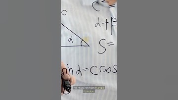 Pythagoras: The Mysterious Philosopher Behind the Cult