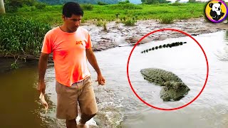 The Most Terrifying Crocodile Attacks Caught on Camera