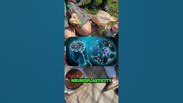 How Does the Brain Form Memories? The Science Behind It! #shorts #brain #fyp