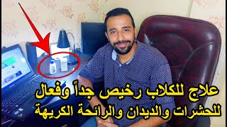  علاج القراد والبرغيث عند الكلاب | حشرة القراد فى الكلاب دواء يغفل عنه الكثير