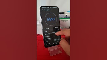 Honor 9x See Ram and Storage