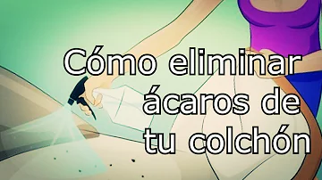 ¿Con qué frecuencia se debe aspirar para eliminar los ácaros?