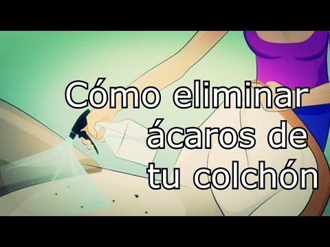 Como eliminar ácaros de colchones y alfombras