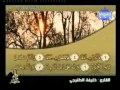 خليفة الطي سورة العاديات 