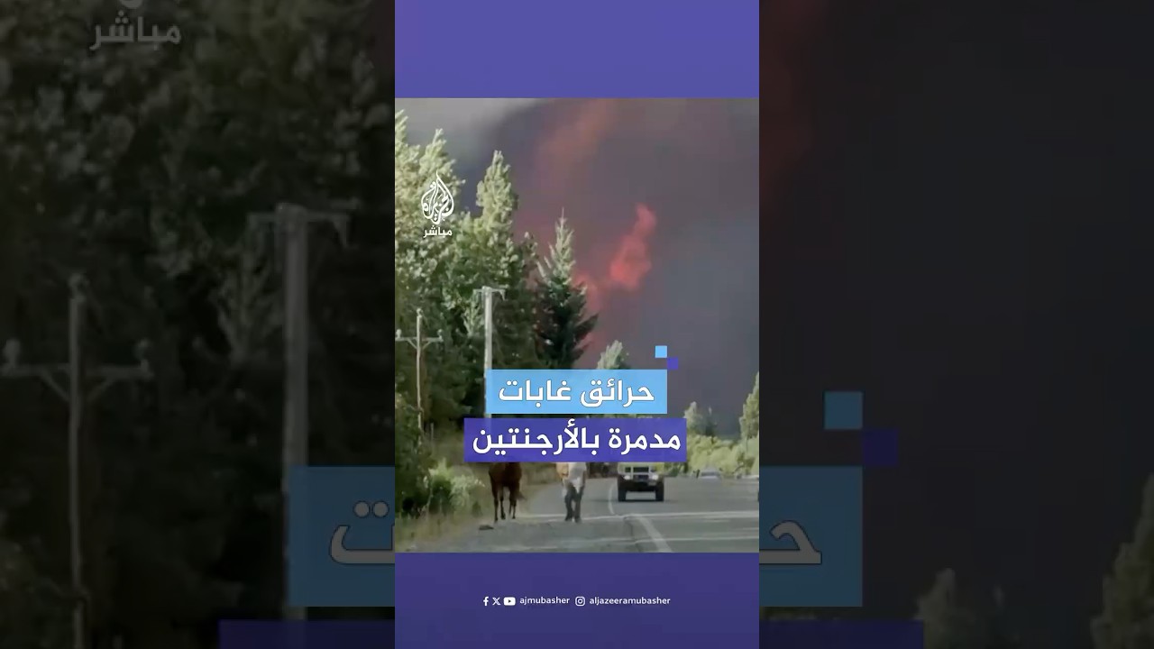 حرائق غابات تجتاح منطقة كاجون ديل آزول في الأرجنتين