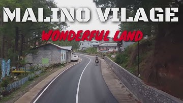 WONDERFUL LAND at MALINO VILAGE || Kampung dengan hamparan Pohon Pinus