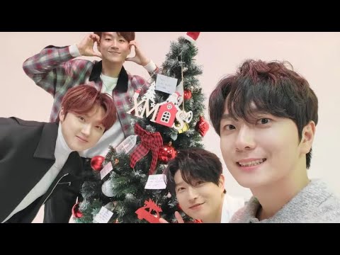 How Do Forestella Celebrate Christmas 