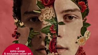 Video voorbeeld van "Where were you In The morning (Acoustic Version)|| Shawn Mendes The Album Target Edition"
