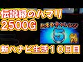 カピバラくん 閲覧注意!放送事故!2500Gハマリ 新ハナビ生活10日目 ノルマ3000G #257