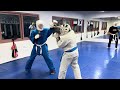 Kudo sparring #kudo #кудо #空道