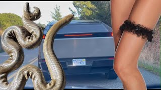 Garters, Rubbers, and Tesla Trucks