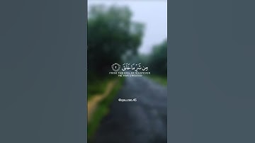 ﴿سورة الفلق...﴾ تلاوة خاشعة ✨🍁