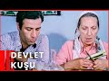 Devlet Kuşu Kemal Sunal Komedi Filmi İzle