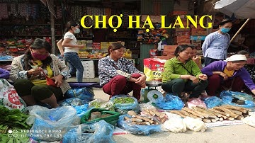 Khám Phá Chợ Phiên HẠ LANG Cao Bằng. Du lịch khám phá phượt Cao Bằng quê hương tôi