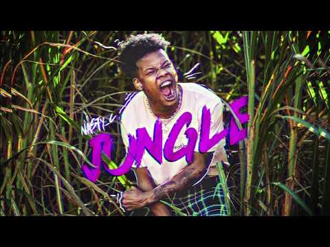 NASTY C - Jungle (prod by Cxdy) [Official Audio]