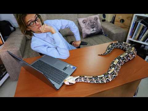 The Truth About Keeping Venomous Snakes