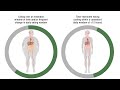 Time restricted eating 168 increases cardiovascular mortality risk by 91  prof luigi fontana