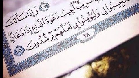 أرح سمعك ب4 ساعات من تلاوات القرآن الكريم