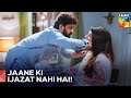 Na Janay Ke Liye Sab Kuch Krdiya Ilzam E Ishq Episode 14 HUM TV Na Janay Ke Liye Sab Kuch Krdiya Ilzam E Ishq Episode 14 HUM TV