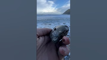 Beautifully Calm Rough Sea Reveals Perfect Fossil! #shorts