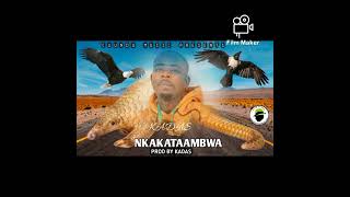 Kadas Zambia... Nkakataambwa #nkakataambwa #zambianmusic #amapiano #afrobeatmix2023 #afrobeat