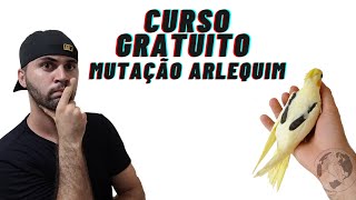 Mutação arlequim (Aula 04)