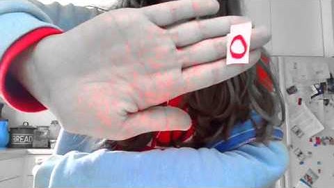 Olly Murs feat. Flo Rida - "Troublemaker" fan video