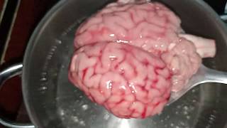 طريقة عمل المخ 🧠 🧠 🧠 واحلى من بتاع المحلات