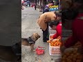 El perro que va solo de compras 🐶🛒