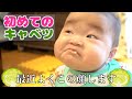 初めてのキャベツを食べながらママを挑発？！【生後7ヶ月】 Yune eats cabbage for the first time.