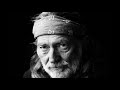 Cruel Cruel World - Willie Nelson