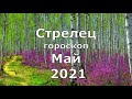 Стрелец  майский гороскоп, май 2021