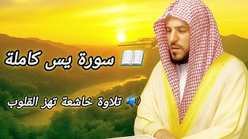 سورة يس كاملة | تلاوة تهز القلوب بصوت ماهر المعيقلي 😭💖 | راحة لا توصف!