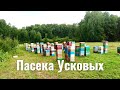 Пчеловоды КУЗБАССА. В гостях у пасечника Дмитрия Ускова, г. Салаир.