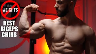 The Best Chinups For Big Biceps No Weights