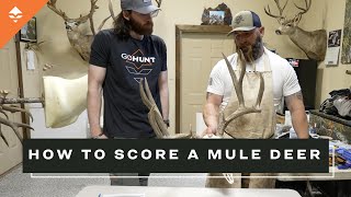 How To Score A Mule Deer