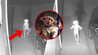 Dobby The House Elf Caught On Home Security Camera