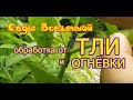 Александр Петров. Обработка от тли и огнёвки