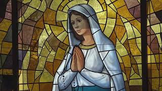 Friday of  the 3rd Week of Lent.  St. Vincent de Paul Church. Houston, TX. 12:10 pm Mass  3/13/26.