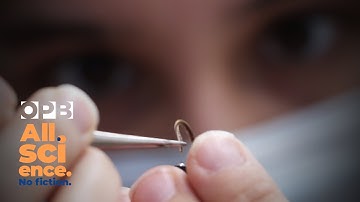 Part drone. Part insect. Meet the Smellicopter | All Science. No Fiction. | OPB