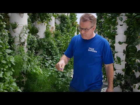 Video: Het marginale plante grond nodig?