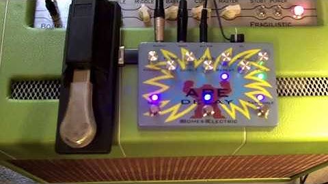 BomesElectric.com ApeDelay BootCamp02