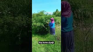 Hayat Köyde Yaşanır