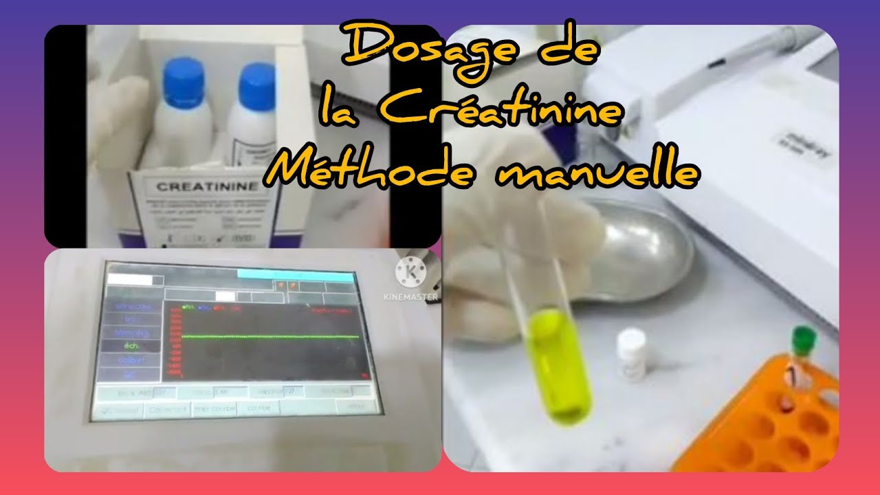 Dosage de la créatinine/تحليل الكرياتينين