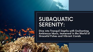 'Subaquatic Serenity' by Dreamy Data 143 views 3 months ago 30 minutes