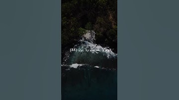 أرح سمعك 🥀القارئ: علي جابر 🍃حالات واتس آب