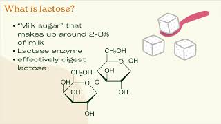 dairy video