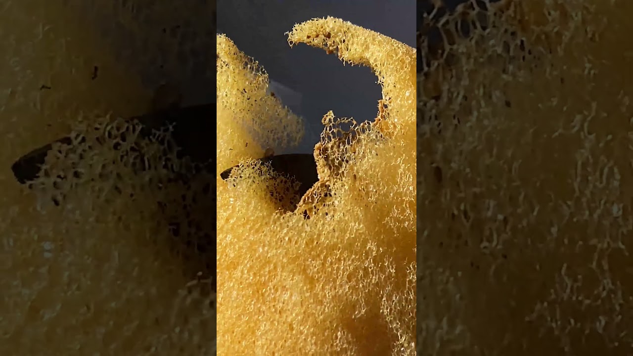 Hot Knife vs Sponge